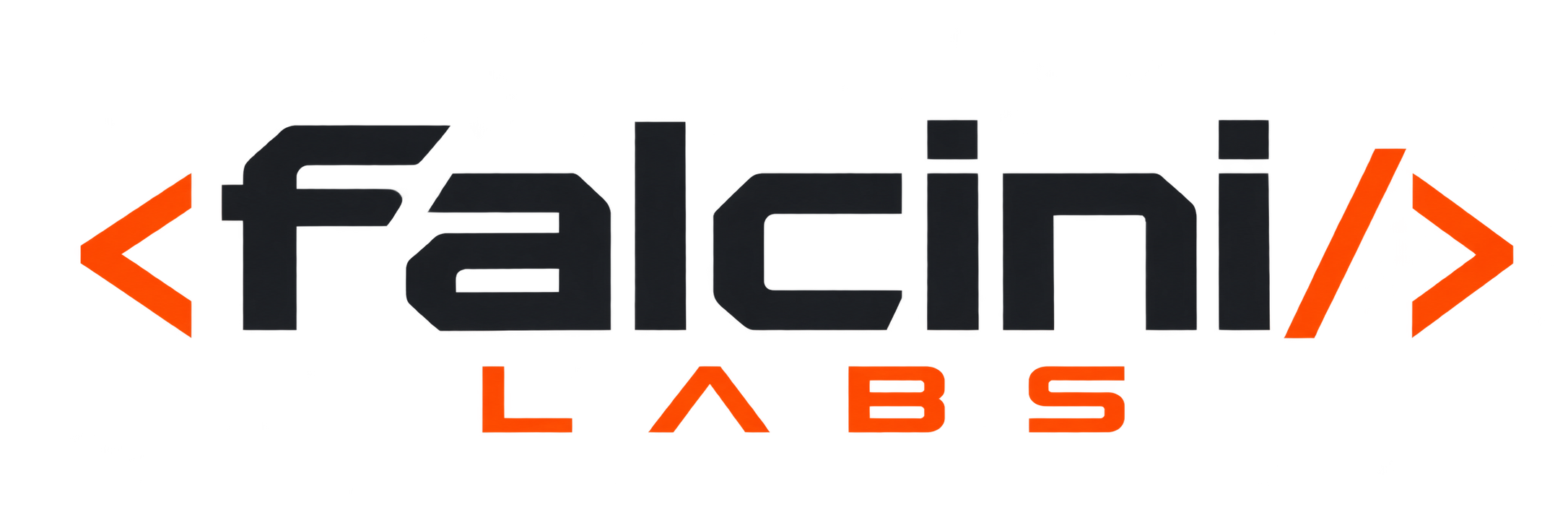 Logo Falcini Labs